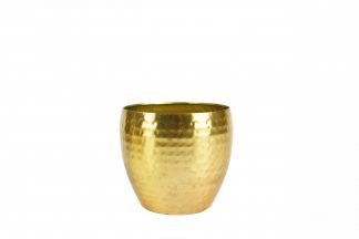 Pot kody - h15xd17cm goud